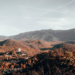 Emmanuel Salami Profile Picture