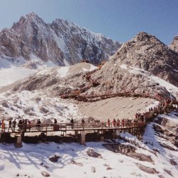 Johnson Afunku Profile Picture