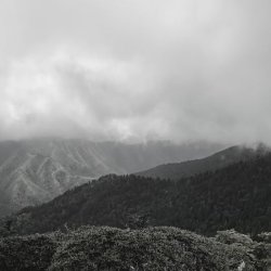 Sumayyah Samuel Profile Picture