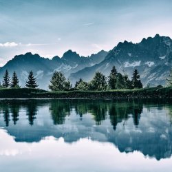 Lolade Omolara Profile Picture