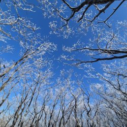 Sname Sekinat Profile Picture