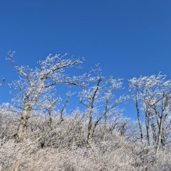 Shade Tolulope Profile Picture