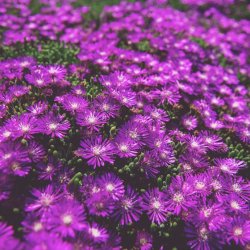 Abimbola Ehigiator Profile Picture