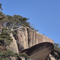 Lola Osuagwu Profile Picture