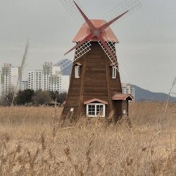 Temitope Mobolaji Profile Picture