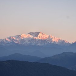 Aminat Aigbiniode Profile Picture