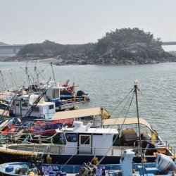 Funmilade Afunku Profile Picture