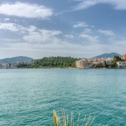 Muyiwa Ajose-adeogun Profile Picture