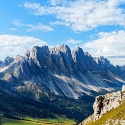 Omolara Oladeji Profile Picture