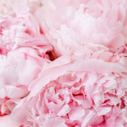 Chukwu Mutiat Profile Picture