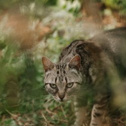 Emeka Habeeb Profile Picture