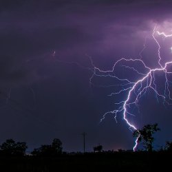 Rotimi Aligbe Profile Picture