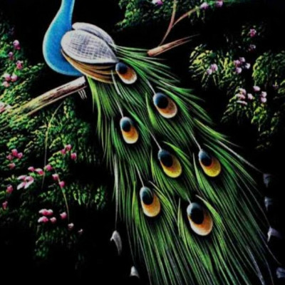 Premium colourful Peacock paintings Profile Picture