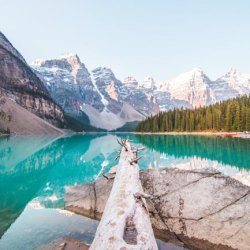 Zainab Balogun Profile Picture