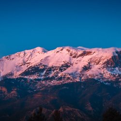 Yusuf Ike Profile Picture