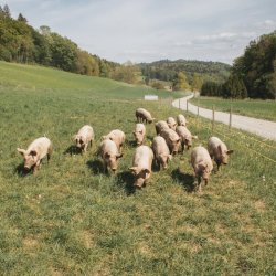 Emeka Nwosu Profile Picture