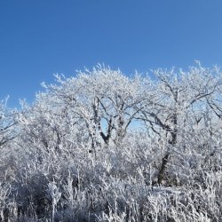 Chidi Ojo Profile Picture