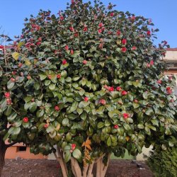 Amina Balogun Profile Picture